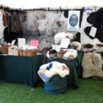 Bo peep sheep stall at a fair on Parkers piece in Cambridge